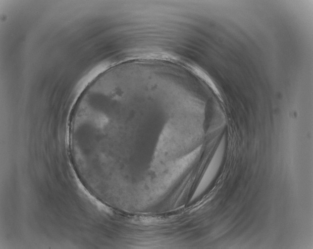 X0000081421095200702021621