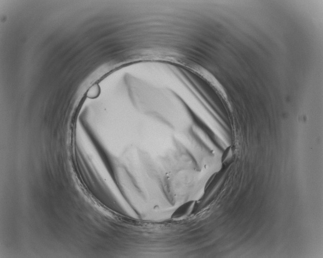 X0000081421096200702021621