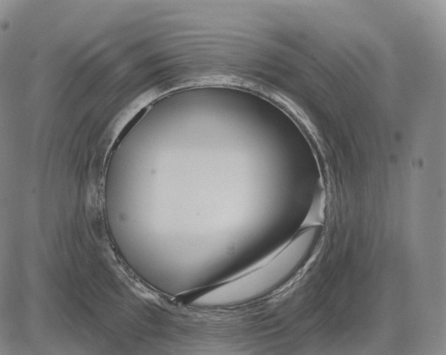 X0000081421097200702021621