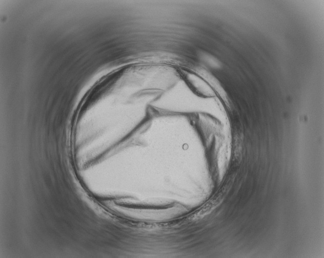 X0000081421099200702021621