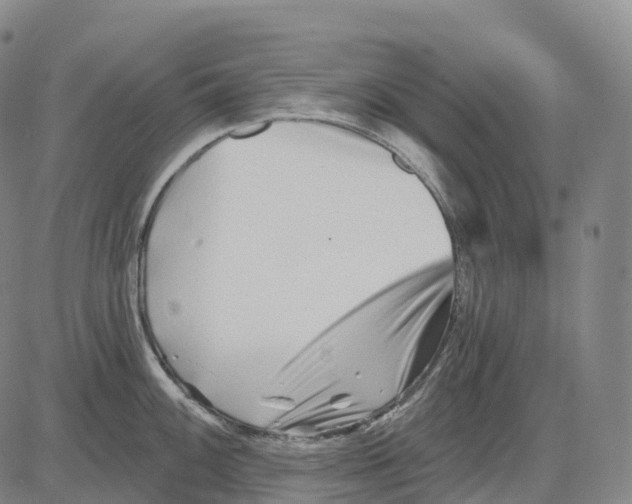 X0000081421100200702021621