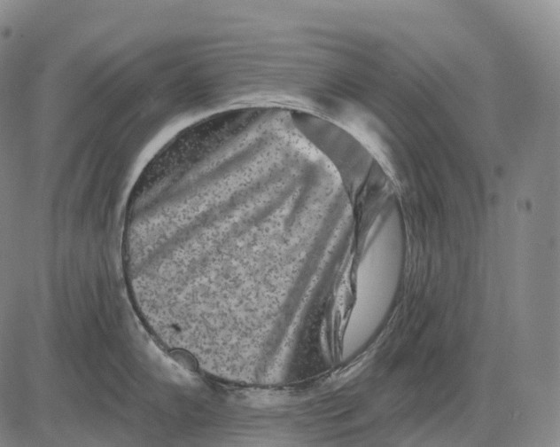 X0000081421102200702021621