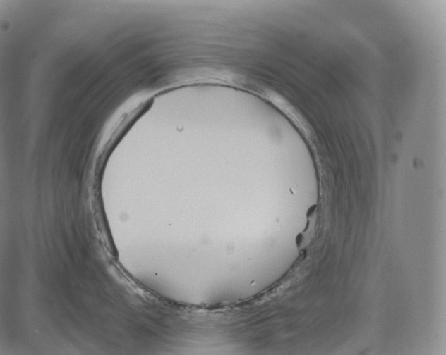 X0000081421104200702021621