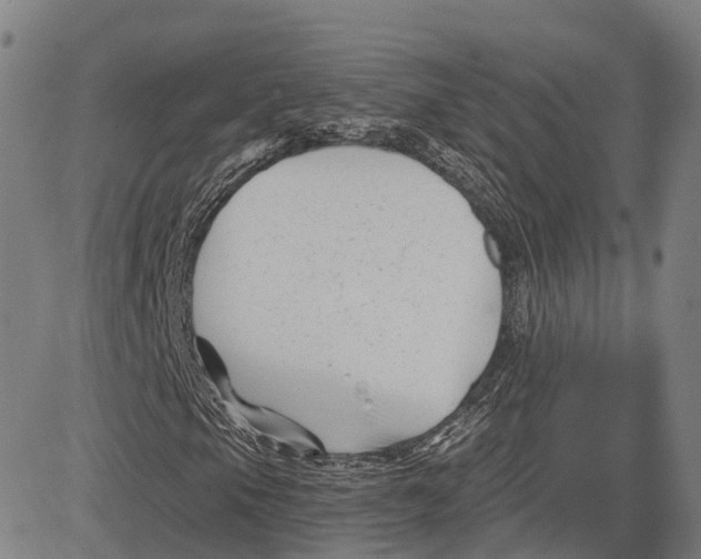 X0000081421105200702021620