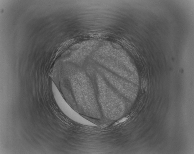 X0000081421106200702021620