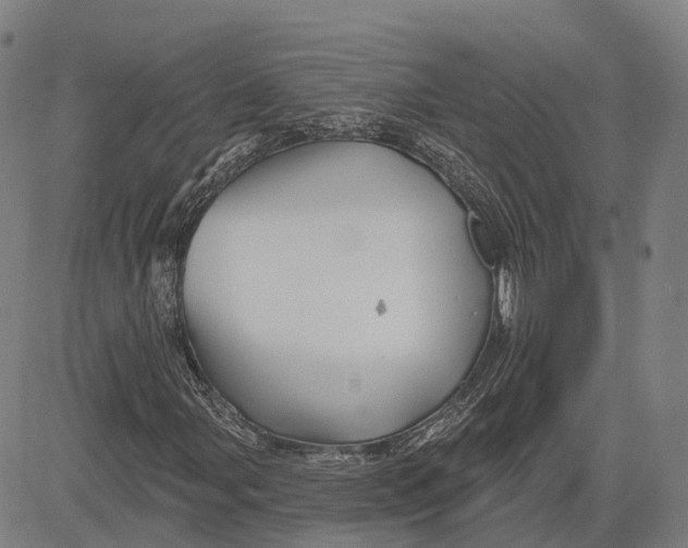 X0000081421107200702021620