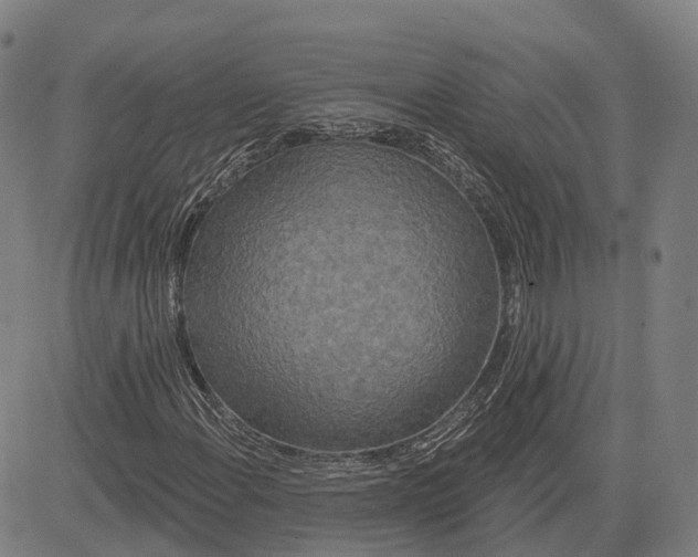 X0000081421108200702021620