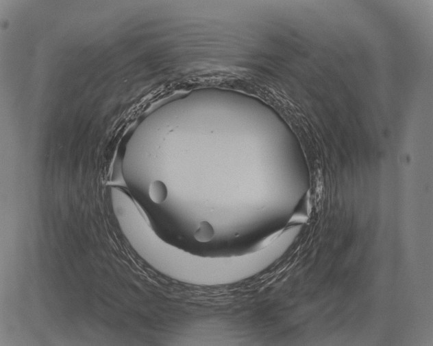 X0000081421109200702021620