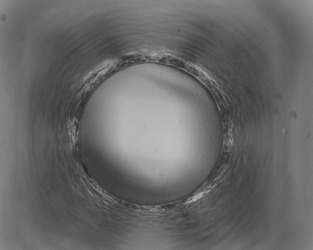 X0000081421110200702021620