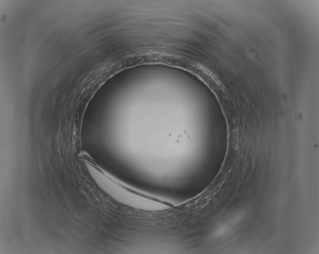 X0000081421111200702021620