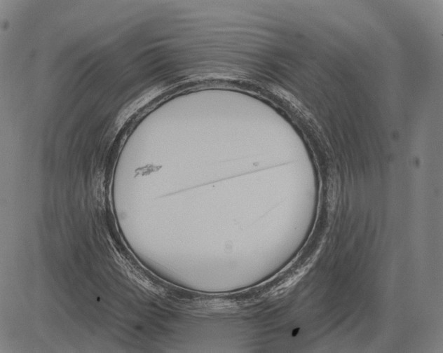 X0000081421113200702021620