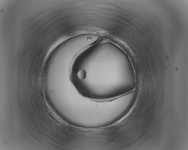 X0000081421114200702021620