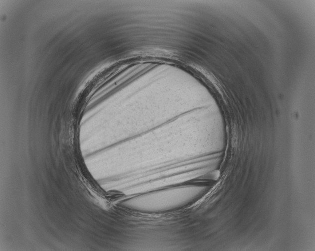 X0000081421115200702021620