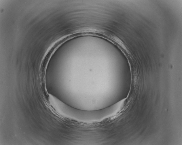 X0000081421116200702021620