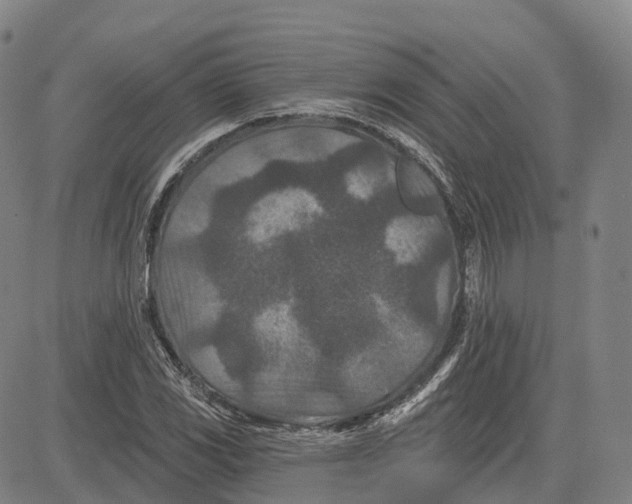 X0000081421117200702021620