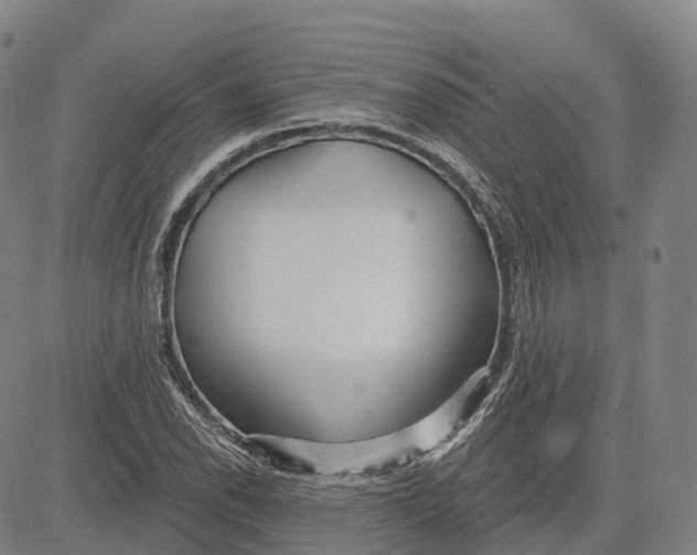 X0000081421118200702021620