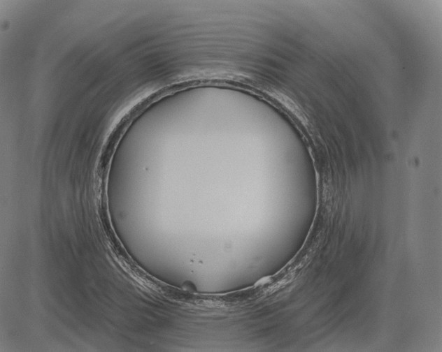 X0000081421119200702021620