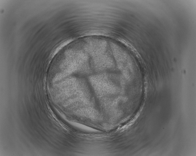 X0000081421121200702021620