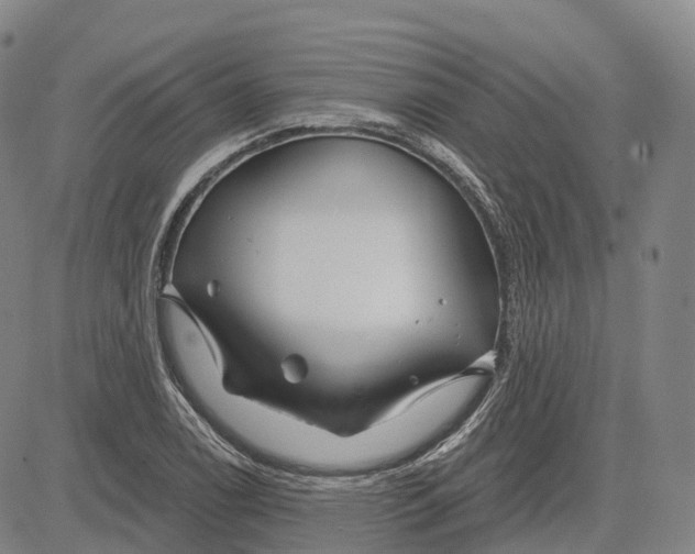 X0000081421122200702021620