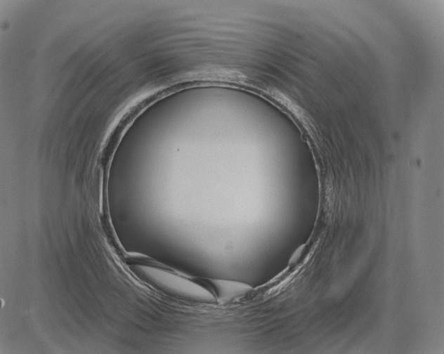 X0000081421123200702021620