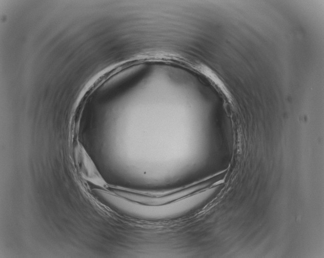 X0000081421124200702021621