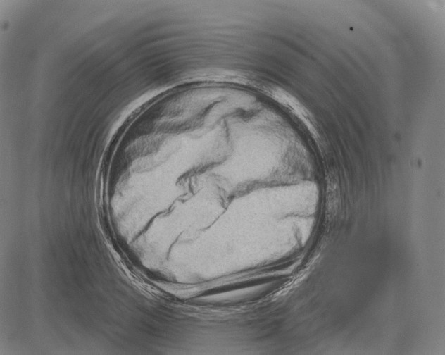 X0000081421125200702021621