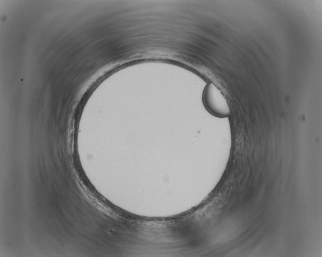 X0000081421126200702021621