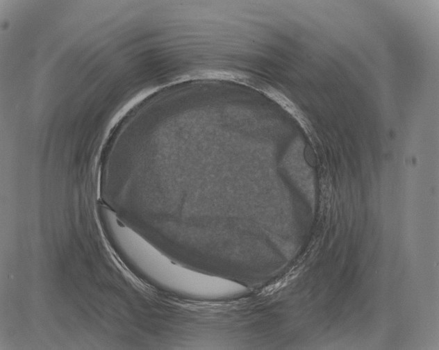 X0000081421127200702021621