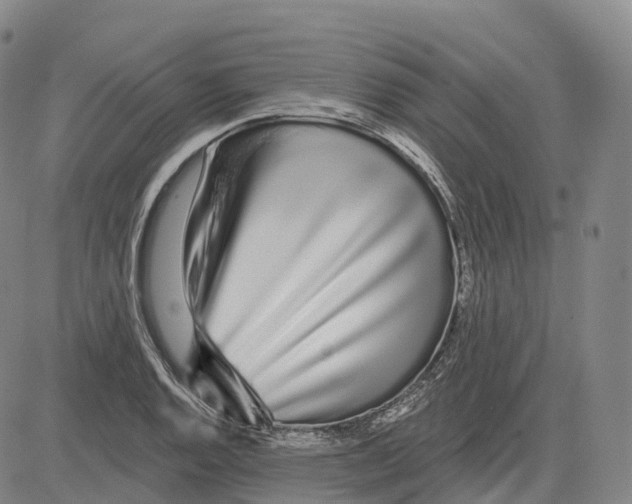 X0000081421128200702021621