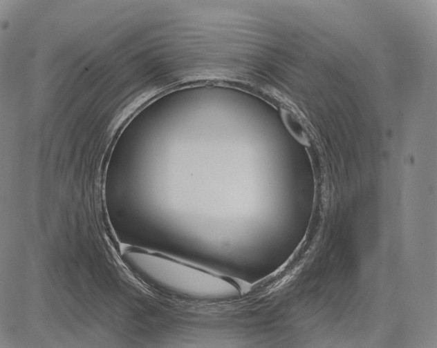 X0000081421129200702021621