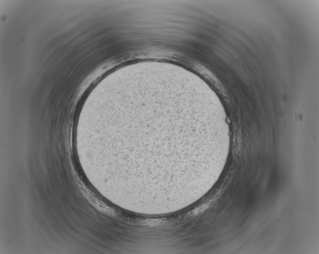 X0000081421130200702021621