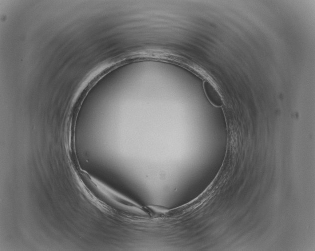 X0000081421131200702021621