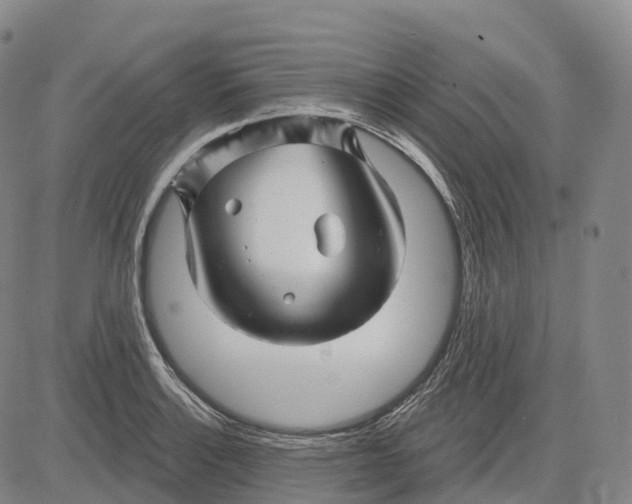 X0000081421132200702021621