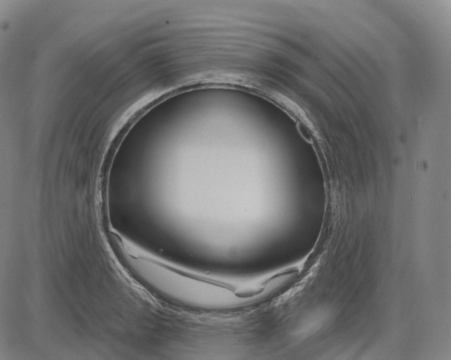 X0000081421133200702021621