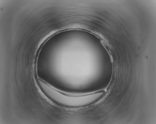 X0000081421134200702021621