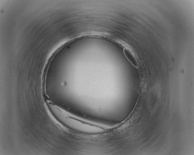 X0000081421135200702021621