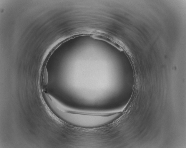 X0000081421136200702021621