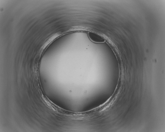 X0000081421137200702021621