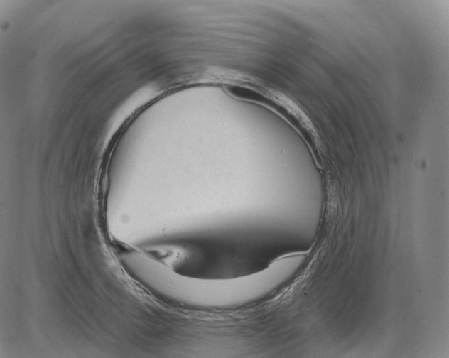 X0000081421138200702021621