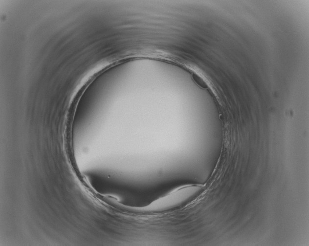 X0000081421139200702021621