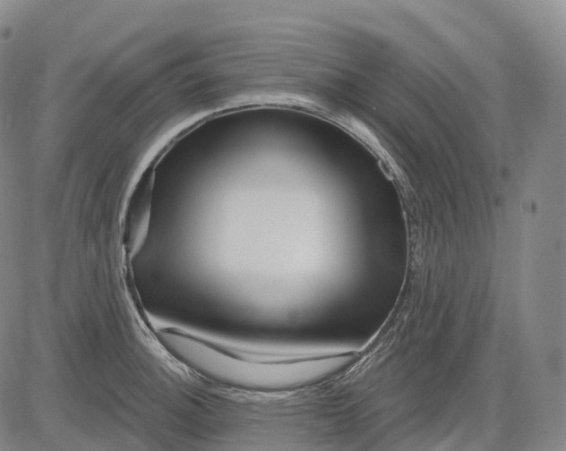 X0000081421140200702021621