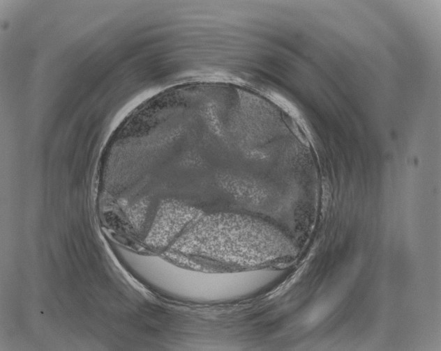 X0000081421141200702021621