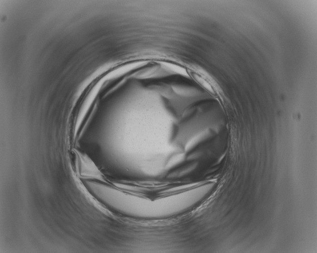 X0000081421142200702021621