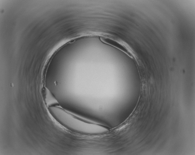 X0000081421143200702021621