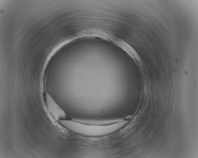 X0000081421144200702021621