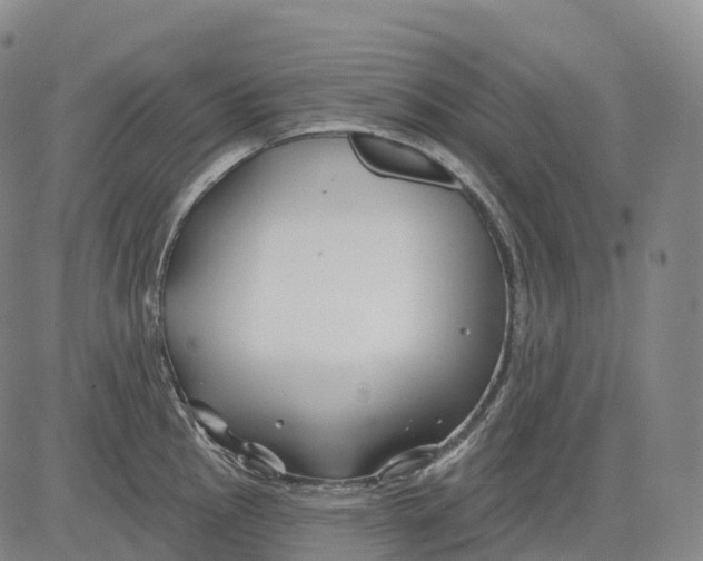 X0000081421145200702021621