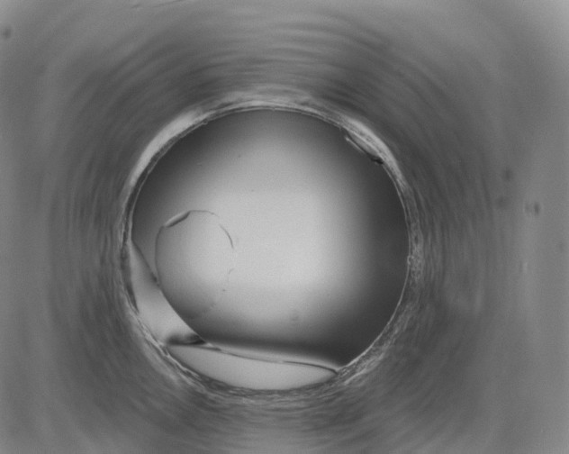 X0000081421146200702021621