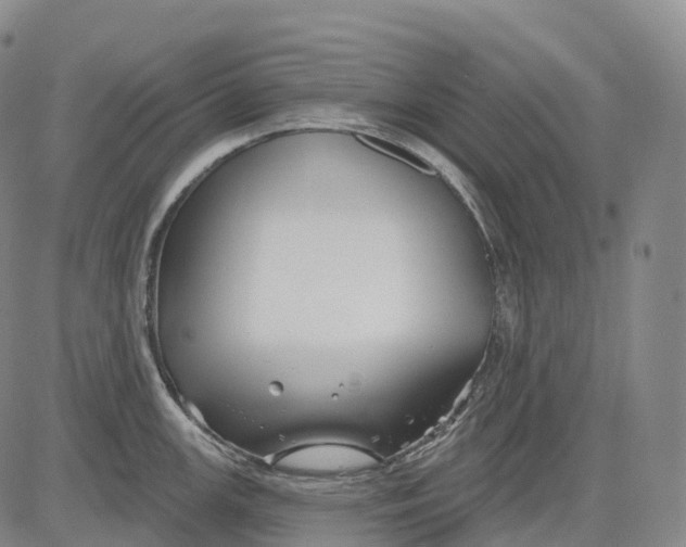 X0000081421147200702021621