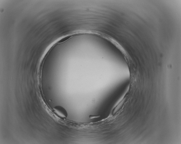 X0000081421148200702021621