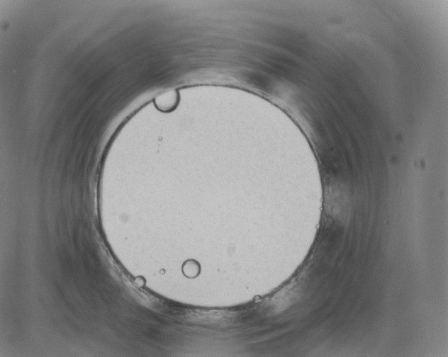 X0000081421150200702021621